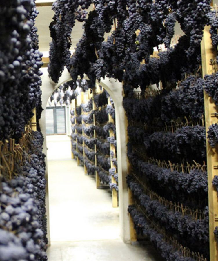 Auguri alla Vernaccia di Serrapetrona Docg