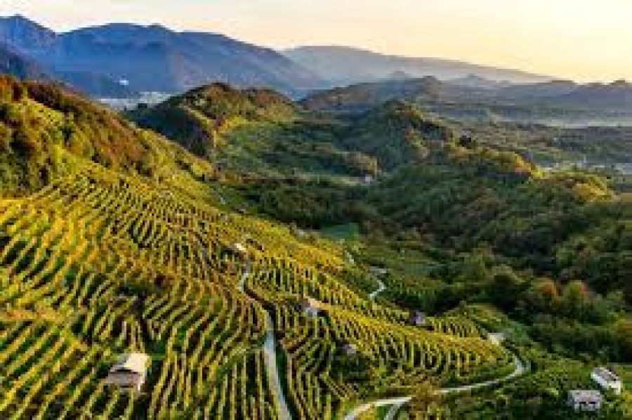 Mostra dei Vini di Collina a San Pietro di Feletto