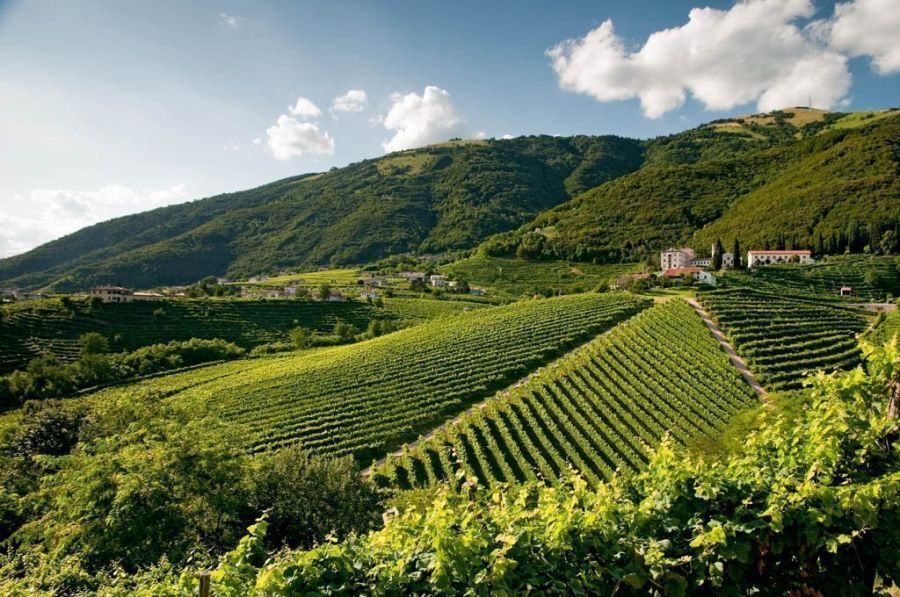 Mipaf su tutela del Prosecco