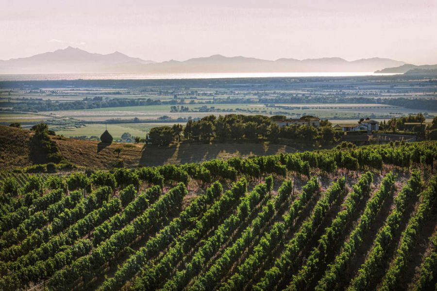 Wine Destinations Italia