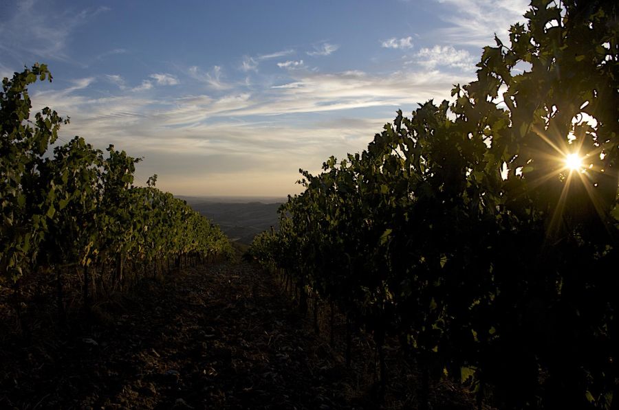 L’Altra Toscana
