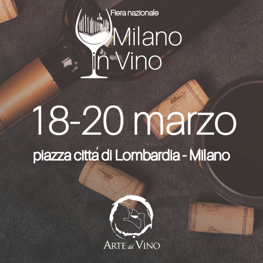 VI edizione Milano in Vino