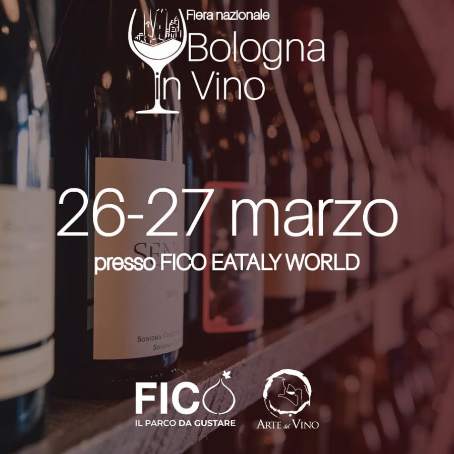 BOLOGNA IN VINO