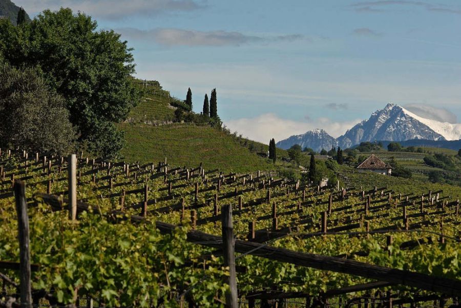 Il salotto del vino sostenibile