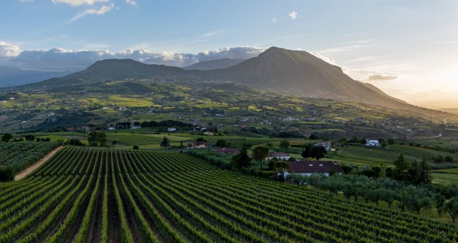 Il turismo del vino nel Sannio tra sostenibilità e benessere