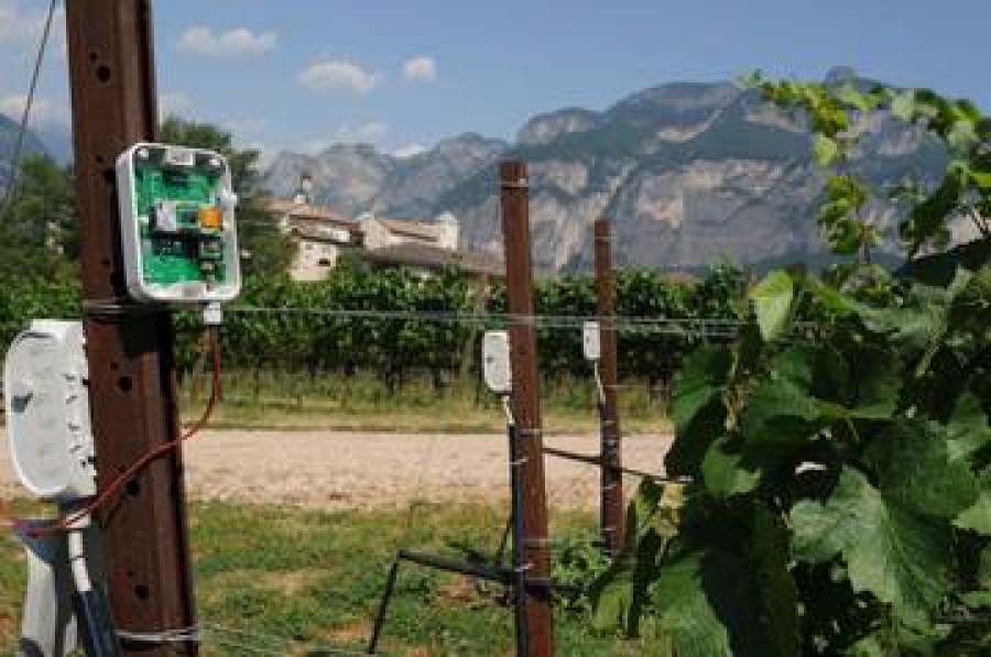 Dagli Stati Uniti al Trentino: lezione sull'agricoltura digitale 
