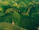Prosecco Superiore DOCG a Wine Future 2021