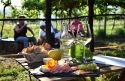 Al via Gemme di gusto